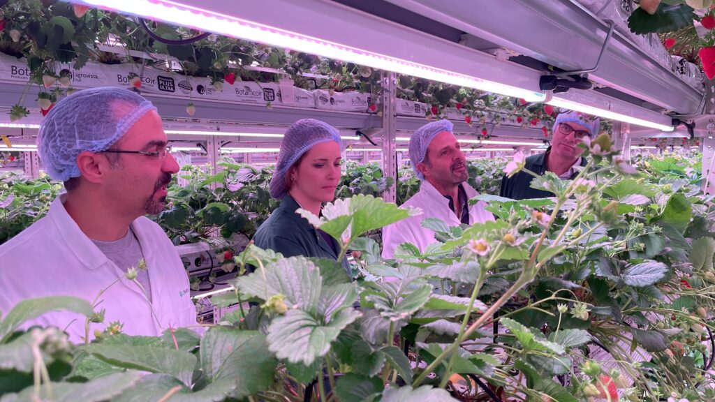 Katia Zacharaki, Director Innophyte Consulting; Ahmad Mohseni, CEO at FlexFarming; Dr Mark Else from Niab; Dr Jim Stevens Senior Innovation Consultant at Innophyte Consulting at Flex Farming's TCEA starwebrry farm